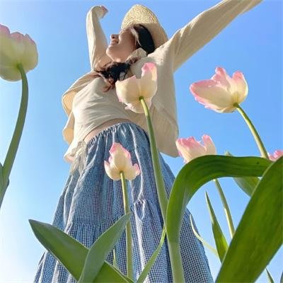 棉尾兔